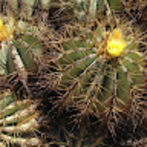 Meet your Posher, Olga